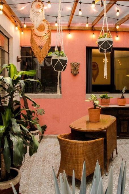 New Mex Inspired Bo-Ho Chic Apartment With Private Patio And Roof Terrace Mexikóváros Kültér fotó